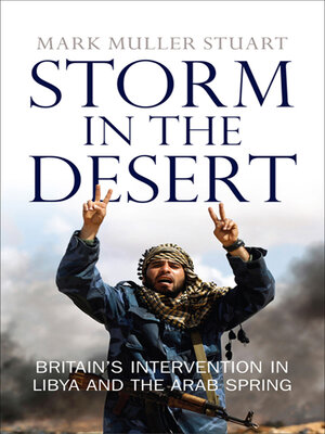 cover image of Storm in the Desert